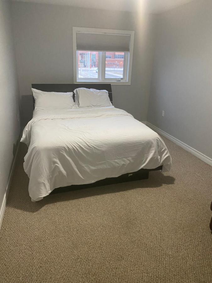 Peacefully Redifined Apartment Hamilton Ngoại thất bức ảnh